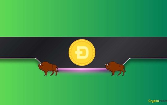 Interesting Dogecoin (DOGE) Price Prediction: Is the Worst Finally Over?