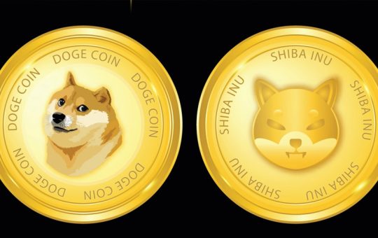 Dogecoin Shiba Inu