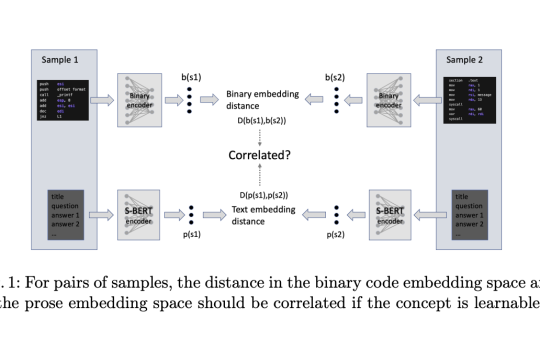 Bridging the Binary Gap: Challenges in Training Neural Networks to Decode and Summarize Code