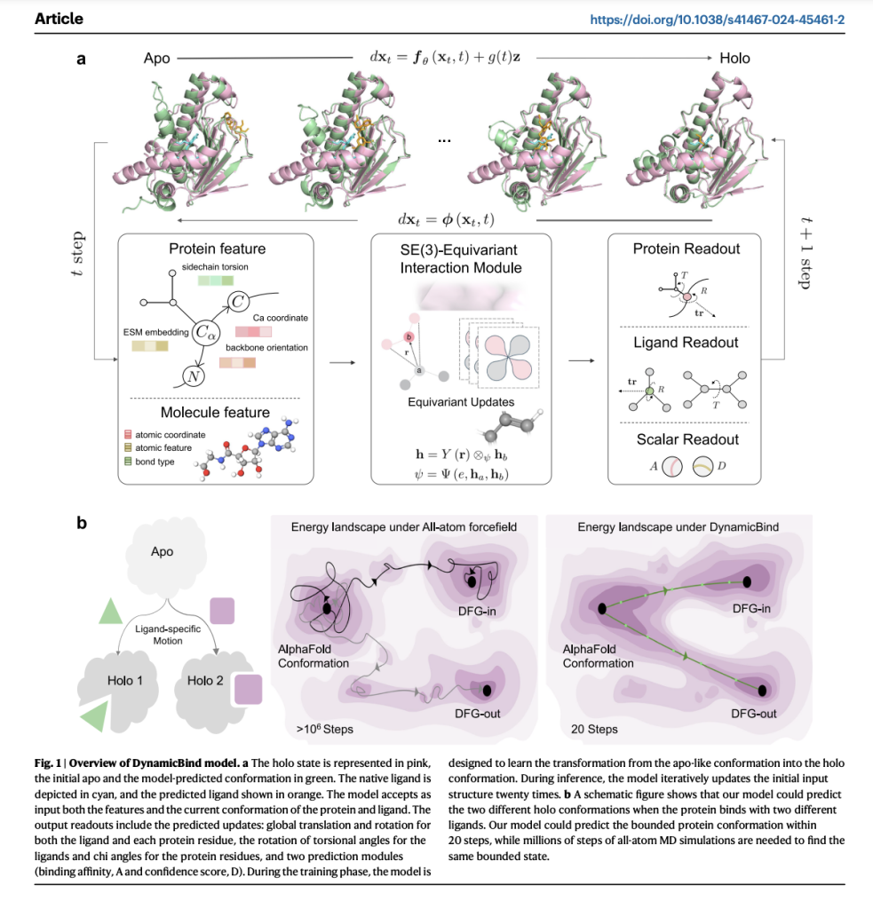 DynamicBind: A Deep Learning Approach for Dynamic Protein-Ligand Docking and Drug Discovery