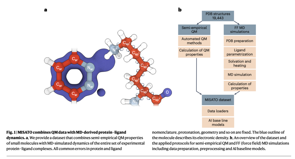 MISATO: A Machine Learning Dataset of Protein-Ligand Complexes for Structure-based Drug Discovery