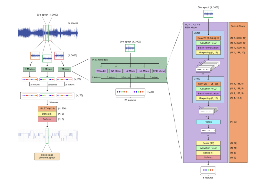 Meet ZleepAnlystNet: A Novel Deep Learning Model for Automatic Sleep Stage Scoring based on Single-Channel Raw EEG Data Using Separating Training