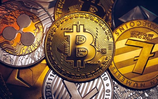 Memeinator in focus as most meme coins beat Bitcoin in 2024