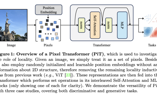 Pixel Transformer: Challenging Locality Bias in Vision Models