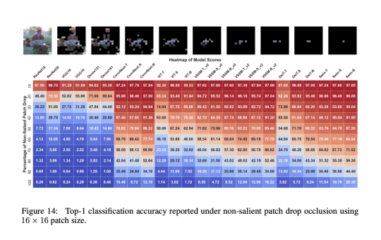 Comprehensive Analysis of The Performance of Vision State Space Models (VSSMs), Vision Transformers, and Convolutional Neural Networks (CNNs)