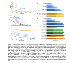 AMPLIFY: Leveraging Data Quality Over Scale for Efficient Protein Language Model Development