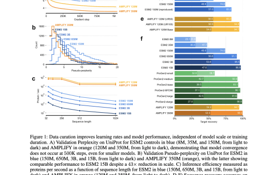 AMPLIFY: Leveraging Data Quality Over Scale for Efficient Protein Language Model Development