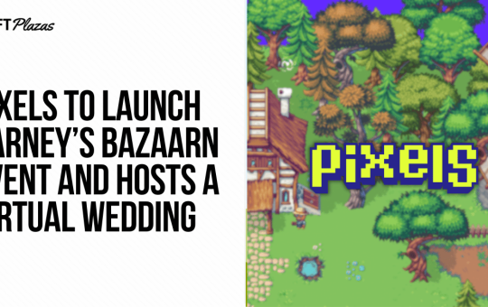 Pixels to Host Barney’s Bazaarn Event and Virtual Wedding