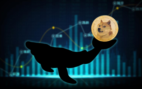 Dogecoin Millionaire Picks the Best Altcoins To Get Rich, RCOF Leads the Pack With Upcoming 6000% Run In 2025