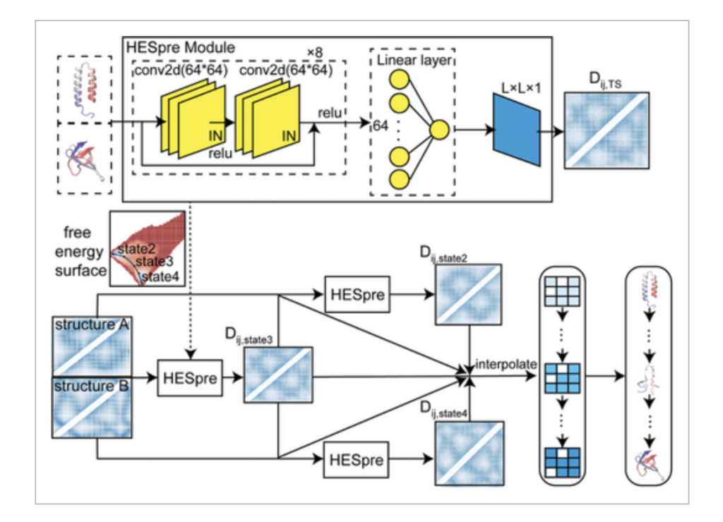 A Study on Protein Conformational Changes Using a Large-Scale Biophysical Sampling Augmented Deep Learning Strategy