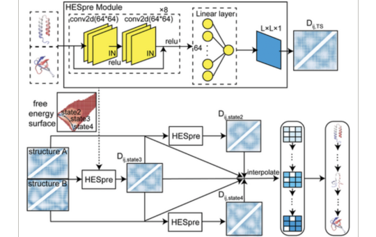 A Study on Protein Conformational Changes Using a Large-Scale Biophysical Sampling Augmented Deep Learning Strategy