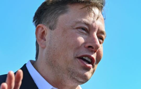 Elon Musk denies having talks with Donald Trump about crypto