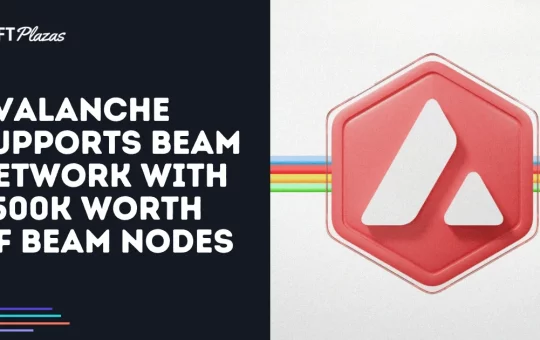 Avalanche Supports Beam Network with $500K Worth of Beam Nodes