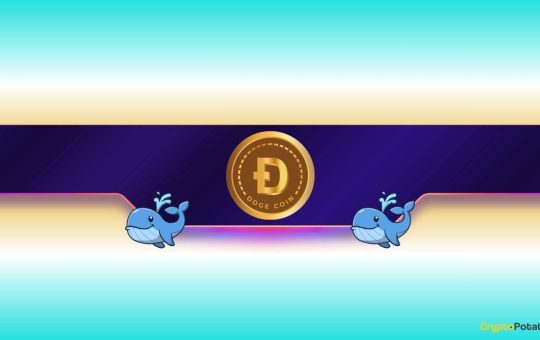 Is Dogecoin Gearing up for Further Rally?